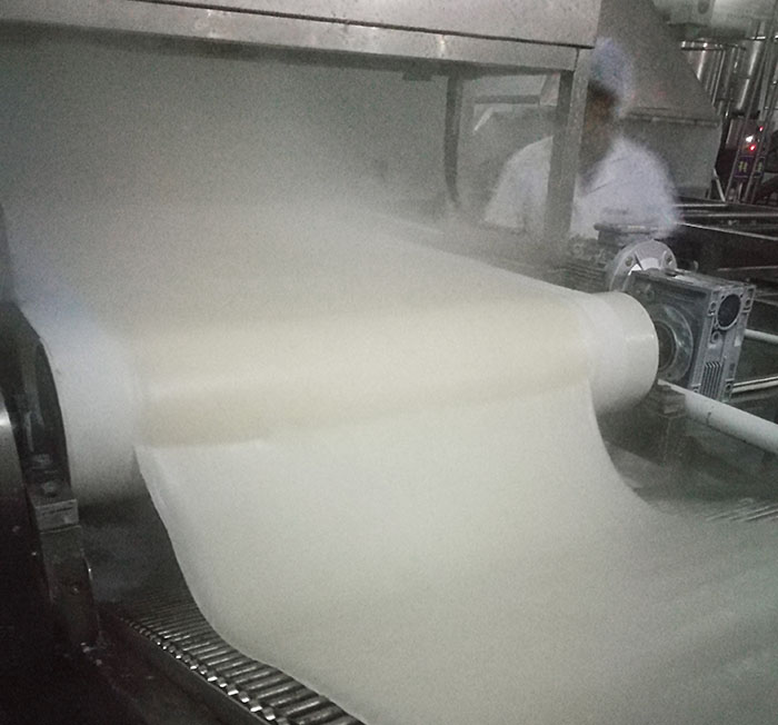 蒸片系統 蒸片系統